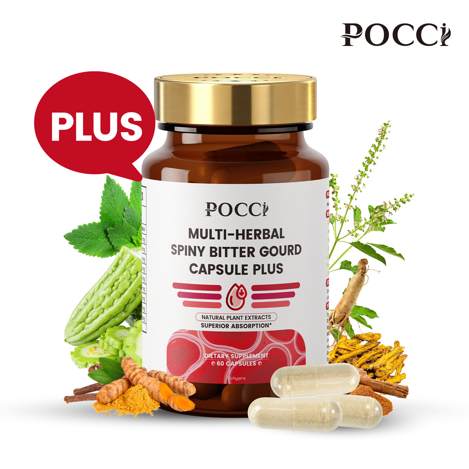 MULTI-HERBALSPINY BITTER GOURD CAPSULE PLUS POCCI Healthy