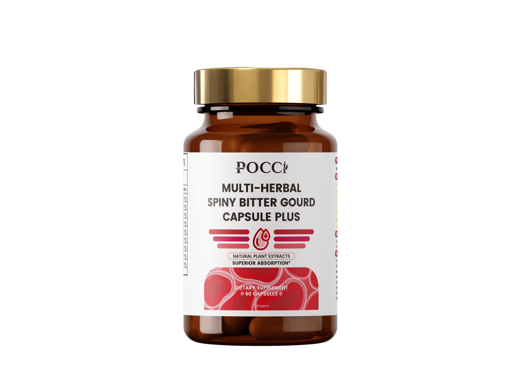 Multi-Herbal Spiny Bitter Gourd Capsule Plus - POCCI Healthy