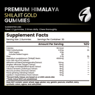 Shilajit Gummies - POCCI Healthy